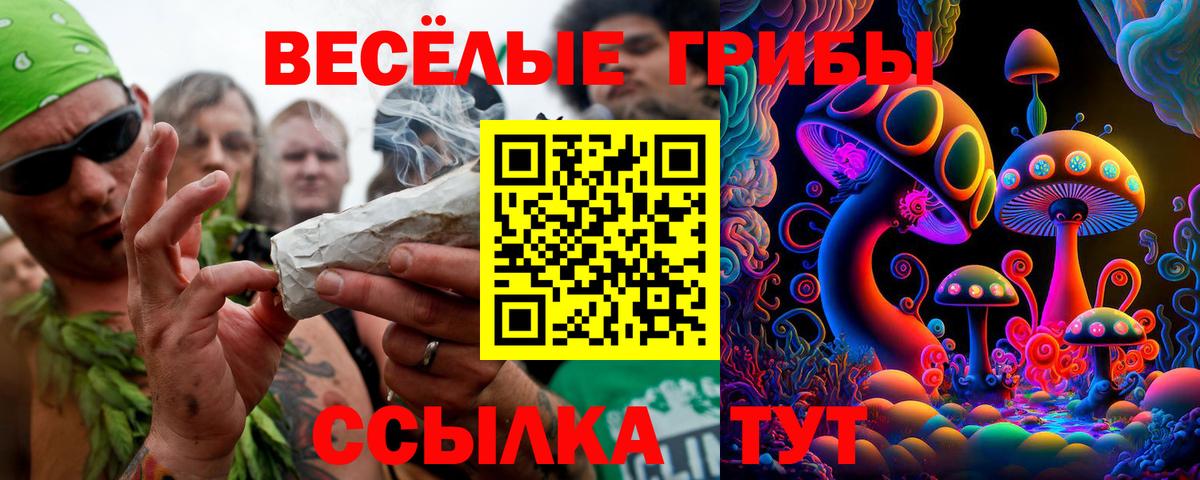 Псилоцибиновые грибы прущие грибы  Вход с VPN  Выкса 